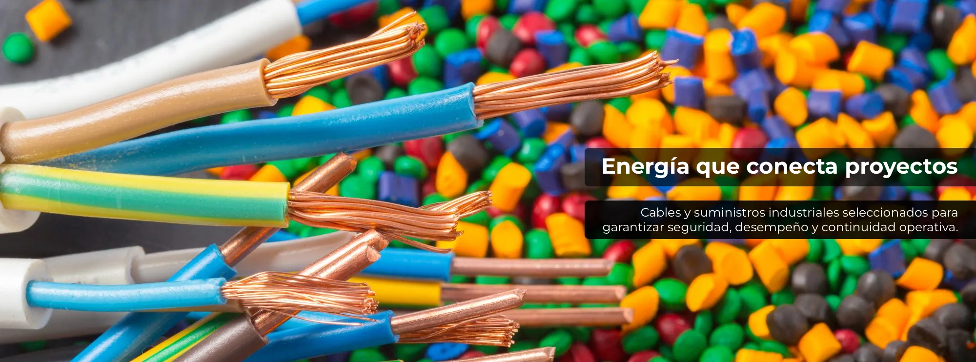 Energía que conecta proyectos