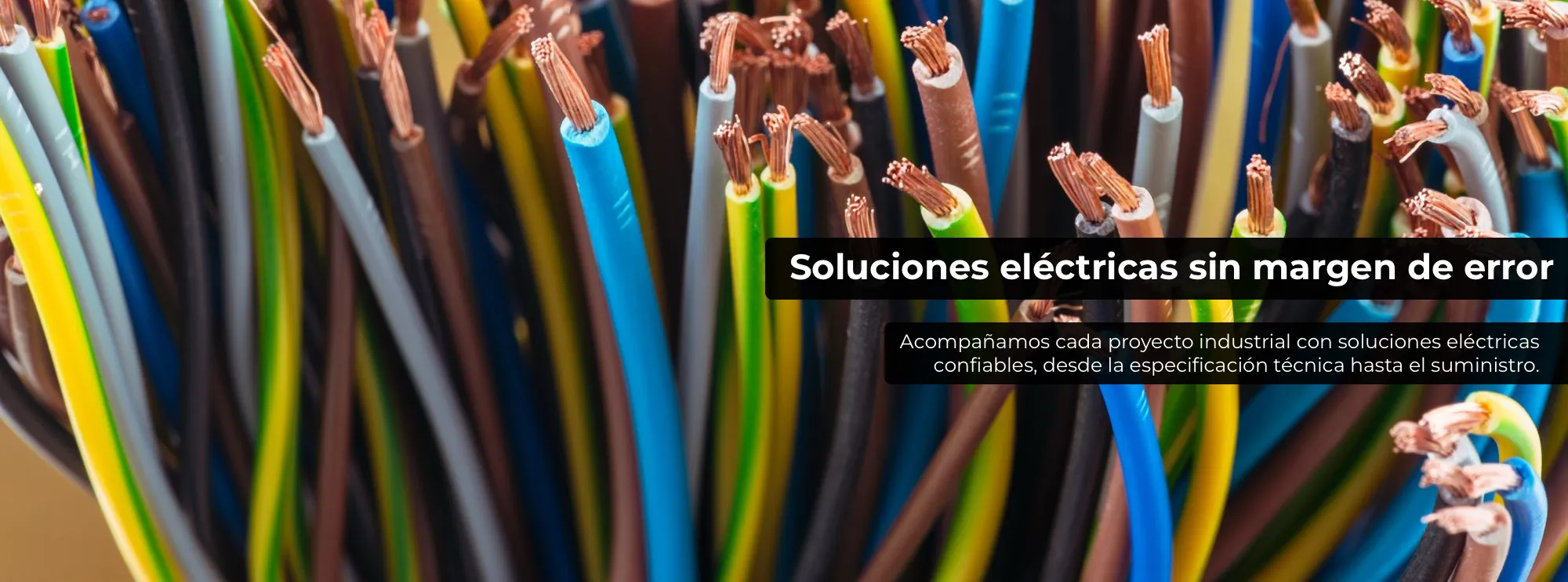 Soluciones eléctricas sin margen de error